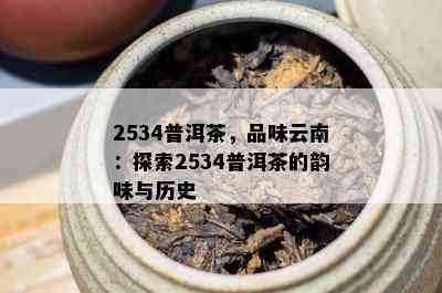 2534普洱茶，品味云南：探索2534普洱茶的韵味与历史