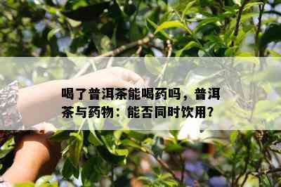 喝了普洱茶能喝吗，普洱茶与物：能否同时饮用？