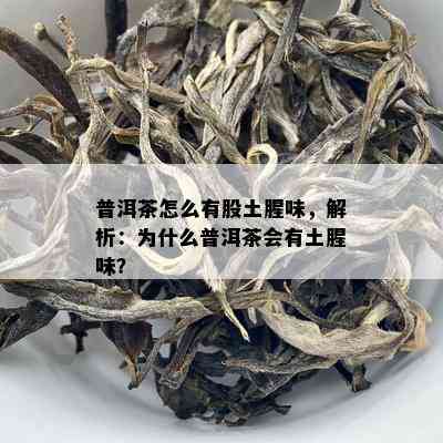 普洱茶怎么有股土腥味，解析：为什么普洱茶会有土腥味？