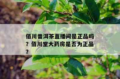 佰川普洱茶直播间是正品吗？佰川堂大房是不是为正品？