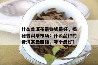 什么普洱茶更赚钱更好，揭秘普洱茶市场：什么品种的普洱茶更赚钱，哪个更好？