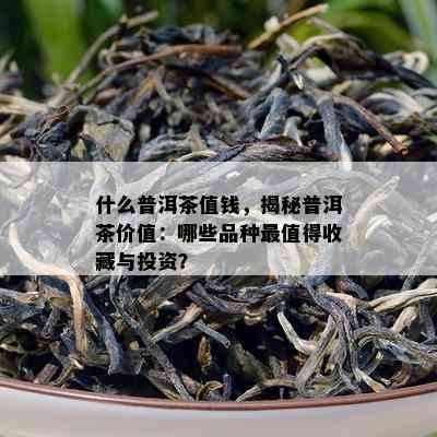 什么普洱茶值钱，揭秘普洱茶价值：哪些品种最值得收藏与投资？