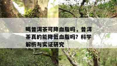 喝普洱茶可降血脂吗，普洱茶真的能减少血脂吗？科学解析与实证研究