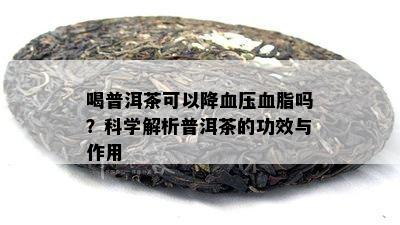 喝普洱茶可以降血压血脂吗？科学解析普洱茶的功效与作用