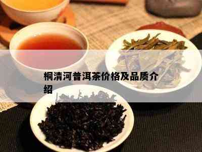 桐清河普洱茶价格及品质介绍