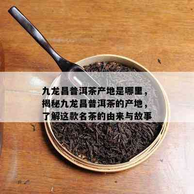 九龙昌普洱茶产地是哪里，揭秘九龙昌普洱茶的产地，了解这款名茶的由来与故事