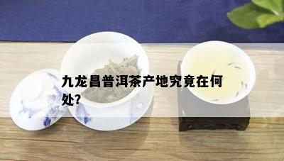 九龙昌普洱茶产地究竟在何处？