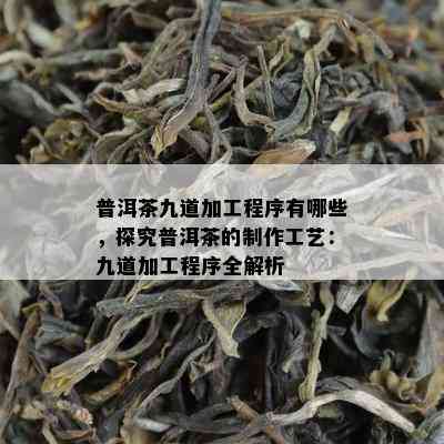 普洱茶九道加工程序有哪些，探究普洱茶的制作工艺：九道加工程序全解析