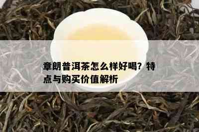 章朗普洱茶怎么样好喝？特点与购买价值解析