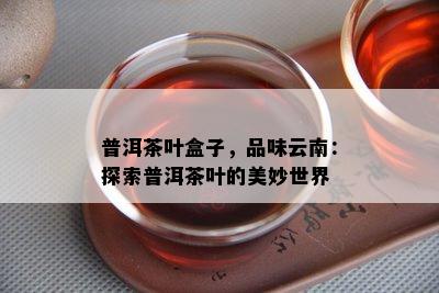 普洱茶叶盒子，品味云南：探索普洱茶叶的美妙世界