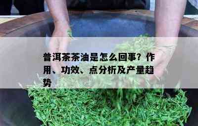 普洱茶茶油是怎么回事？作用、功效、点分析及产量趋势