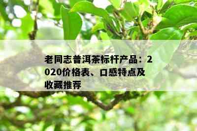 老同志普洱茶标杆产品：2020价格表、口感特点及收藏推荐