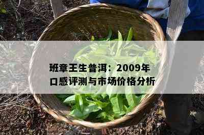 班章王生普洱：2009年口感评测与市场价格分析