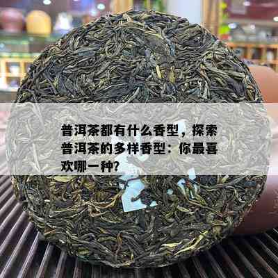 普洱茶都有什么香型，探索普洱茶的多样香型：你最喜欢哪一种？