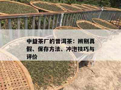 中益茶厂的普洱茶：辨别真假、保存方法、冲泡技巧与评价