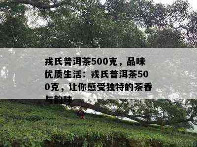 戎氏普洱茶500克，品味优质生活：戎氏普洱茶500克，让你感受特别的茶香与韵味