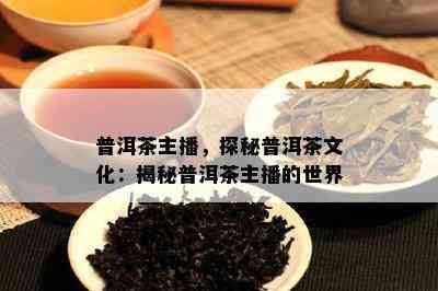 普洱茶主播，探秘普洱茶文化：揭秘普洱茶主播的世界