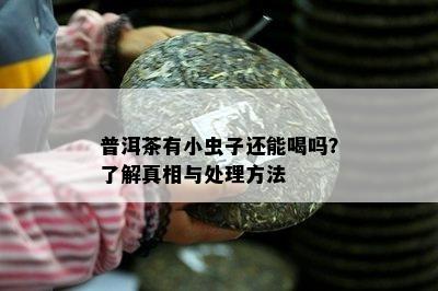 普洱茶有小虫子还能喝吗？了解真相与处理方法