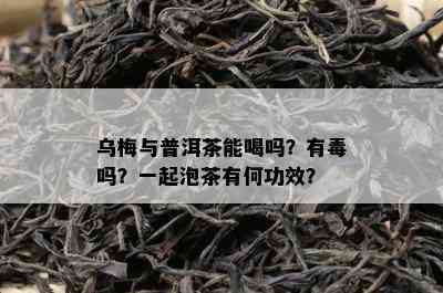 乌梅与普洱茶能喝吗？有吗？一起泡茶有何功效？