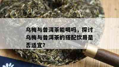 乌梅与普洱茶能喝吗，探讨乌梅与普洱茶的搭配饮用是不是适宜？