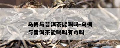 乌梅与普洱茶能喝吗-乌梅与普洱茶能喝吗有吗