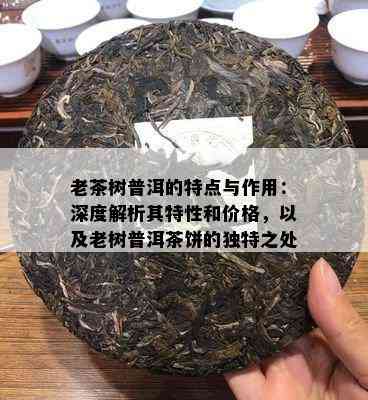 老茶树普洱的特点与作用：深度解析其特性和价格，以及老树普洱茶饼的独特之处