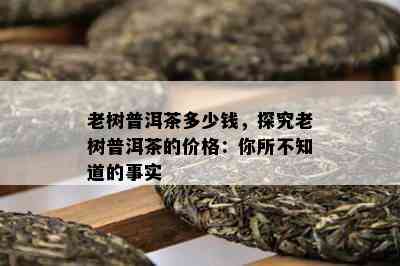 老树普洱茶多少钱，探究老树普洱茶的价格：你所不知道的事实