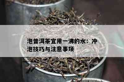 泡普洱茶宜用一沸的水：冲泡技巧与注意事项