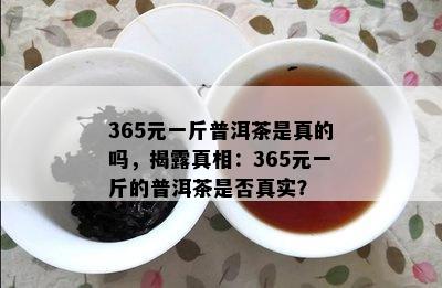 365元一斤普洱茶是真的吗，揭露真相：365元一斤的普洱茶是不是真实？