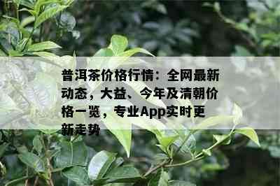 普洱茶价格行情：全网最新动态，大益、今年及清朝价格一览，专业App实时更新走势