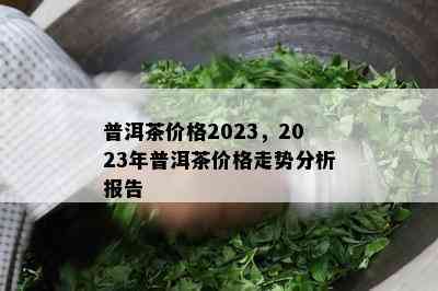 普洱茶价格2023，2023年普洱茶价格走势分析报告