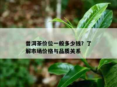 普洱茶价位一般多少钱？了解市场价格与品质关系