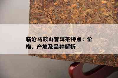 临沧马鞍山普洱茶特点：价格、产地及品种解析