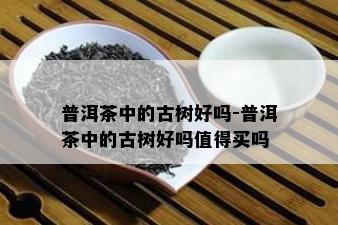 普洱茶中的古树好吗-普洱茶中的古树好吗值得买吗