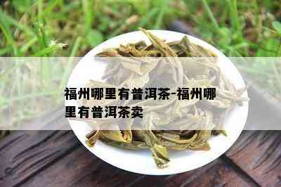 福州哪里有普洱茶-福州哪里有普洱茶卖