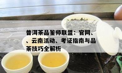 普洱茶品鉴师联盟：官网、、云南活动、考证指南与品茶技巧全解析