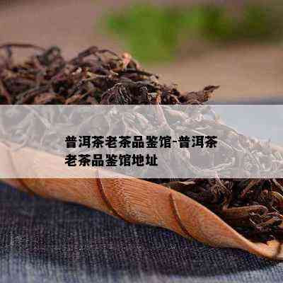 普洱茶老茶品鉴馆-普洱茶老茶品鉴馆地址