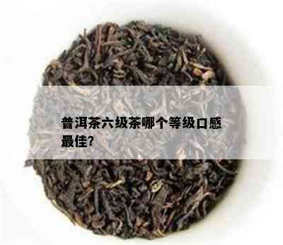 普洱茶六级茶哪个等级口感更佳？