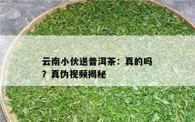 云南小伙送普洱茶：真的吗？真伪视频揭秘