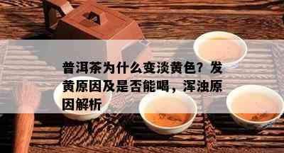 普洱茶为什么变淡黄色？发黄起因及是不是能喝，浑浊起因解析