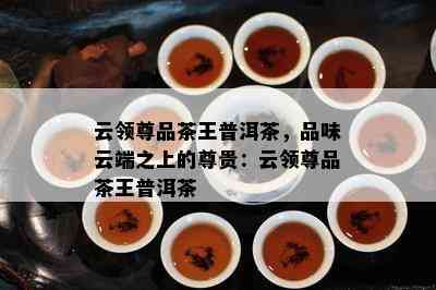 云领尊品茶王普洱茶，品味云端之上的尊贵：云领尊品茶王普洱茶