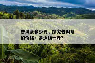 普洱茶多少元，探究普洱茶的价格：多少钱一斤？