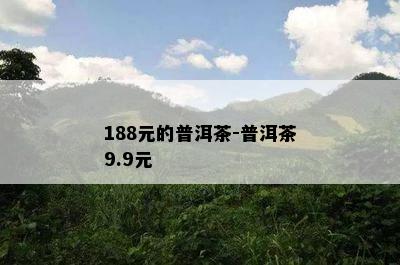 188元的普洱茶-普洱茶9.9元