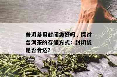 普洱茶用封闭袋好吗，探讨普洱茶的存储方法：封闭袋是不是合适？