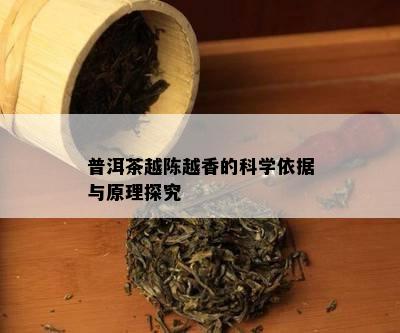 普洱茶越陈越香的科学依据与原理探究