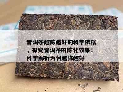 普洱茶越陈越好的科学依据，探究普洱茶的陈化效果：科学解析为何越陈越好