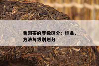 普洱茶的等级区分：标准、方法与级别划分