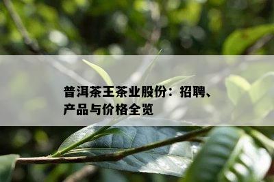 普洱茶王茶业股份：招聘、产品与价格全览