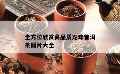 全方位欣赏高品质龙珠普洱茶图片大全