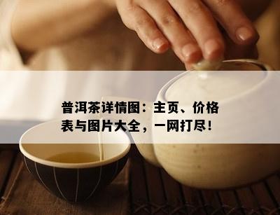 普洱茶详情图：主页、价格表与图片大全，一网打尽！